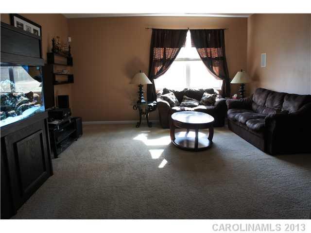 12017 Downy Birch Road Charlotte, NC 28227 - Photo 5 of 16 a living room with a couch and a flat screen tv