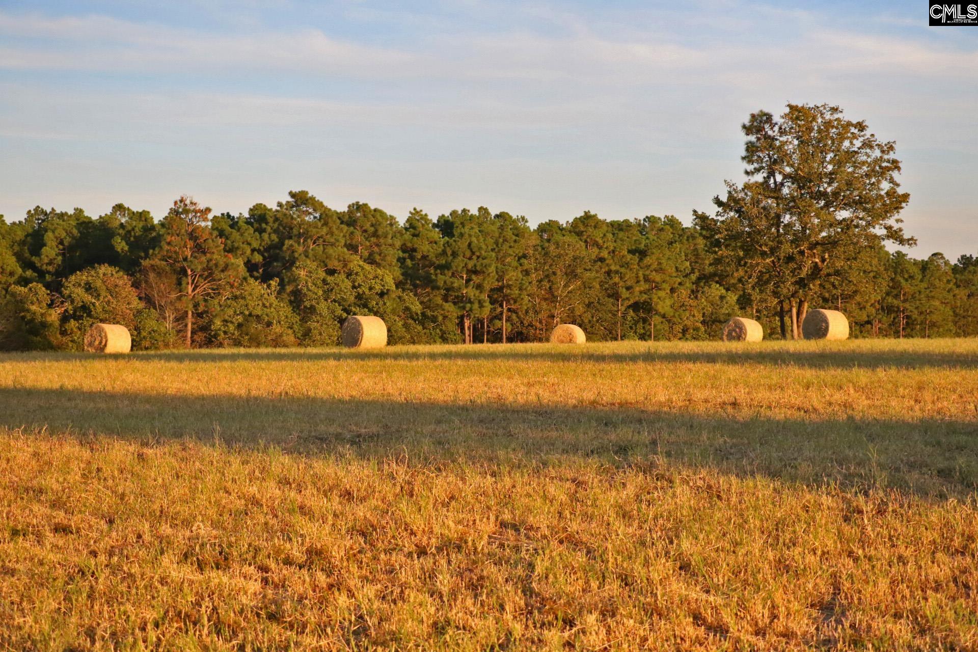 Tbd Browns Pond Road Wagener, SC 29164 - Photo 7 of 48