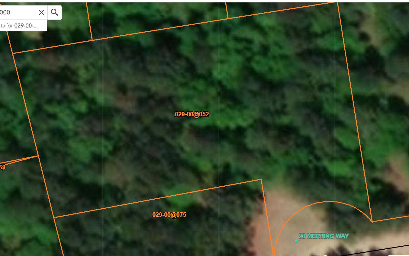 0 Merting Way Smoaks, SC 29481 - Photo 1 of 4 Capture.1