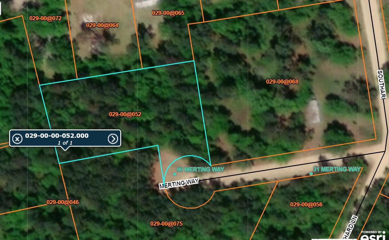 0 Merting Way Smoaks, SC 29481 - Photo 3 of 4 Capture