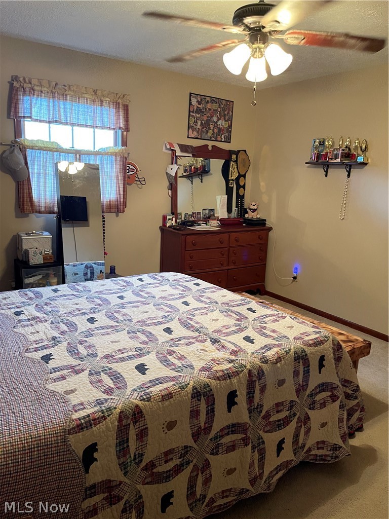42895 Telegraph Road Elyria, OH 44035 - Photo 20 of 35 Master Bedroom