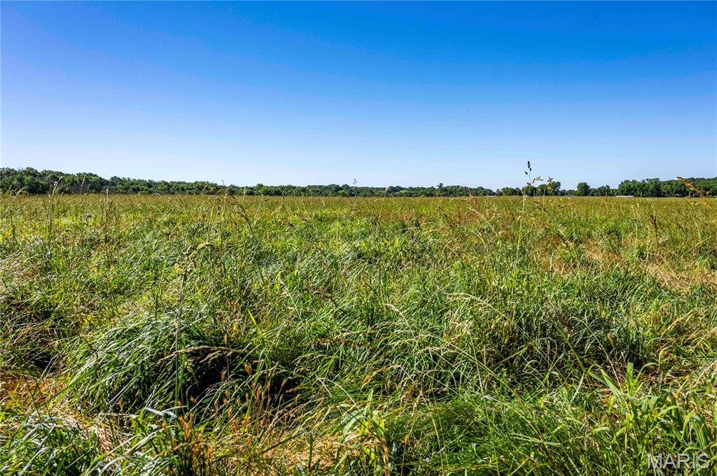 0 County 455 Road New Franklin, MO 65274 - Photo 3 of 67