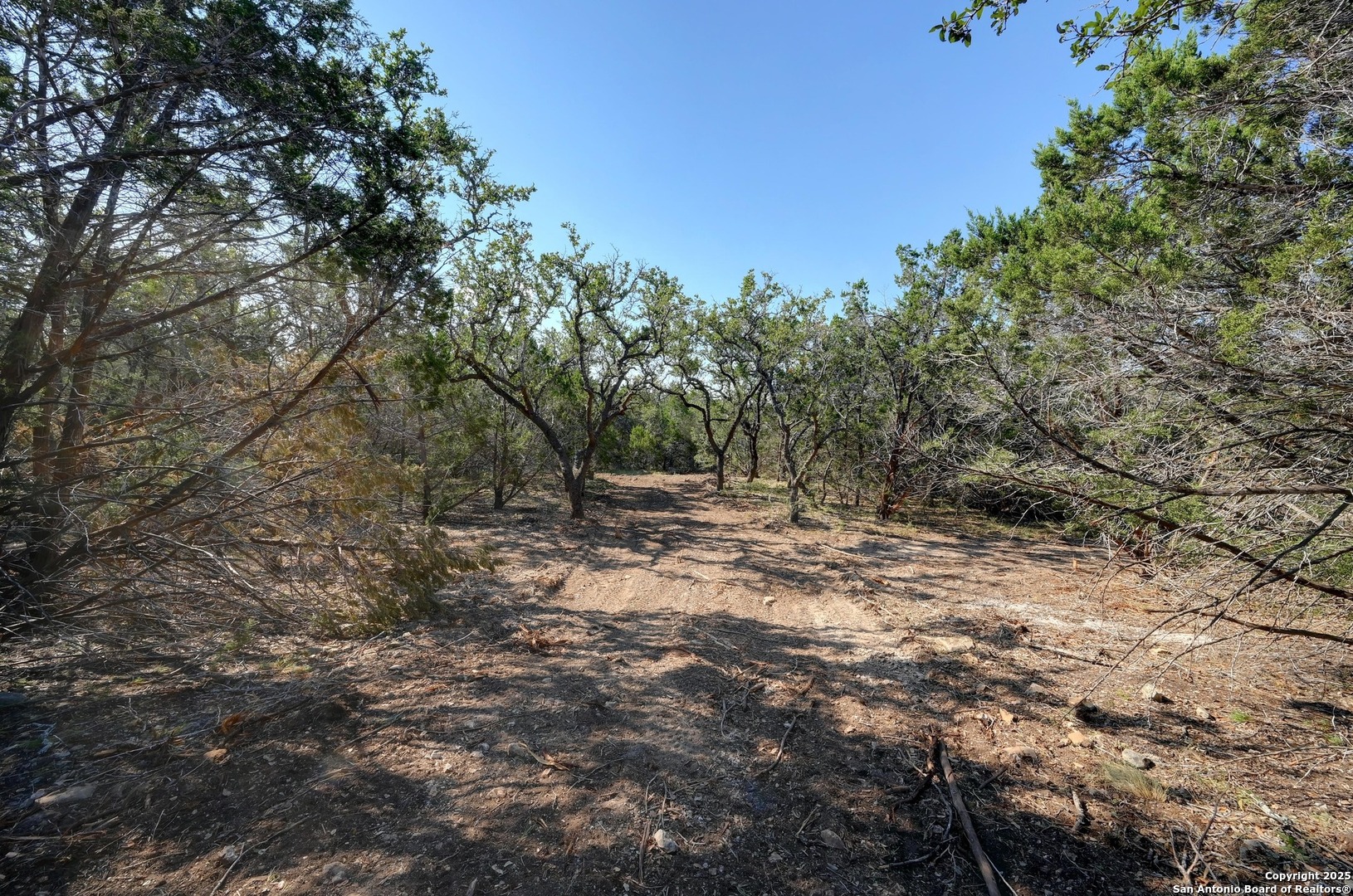 Tract 2 Pierson Road Blanco, TX 78606 - Photo 8 of 13 a view of outdoor space with trees