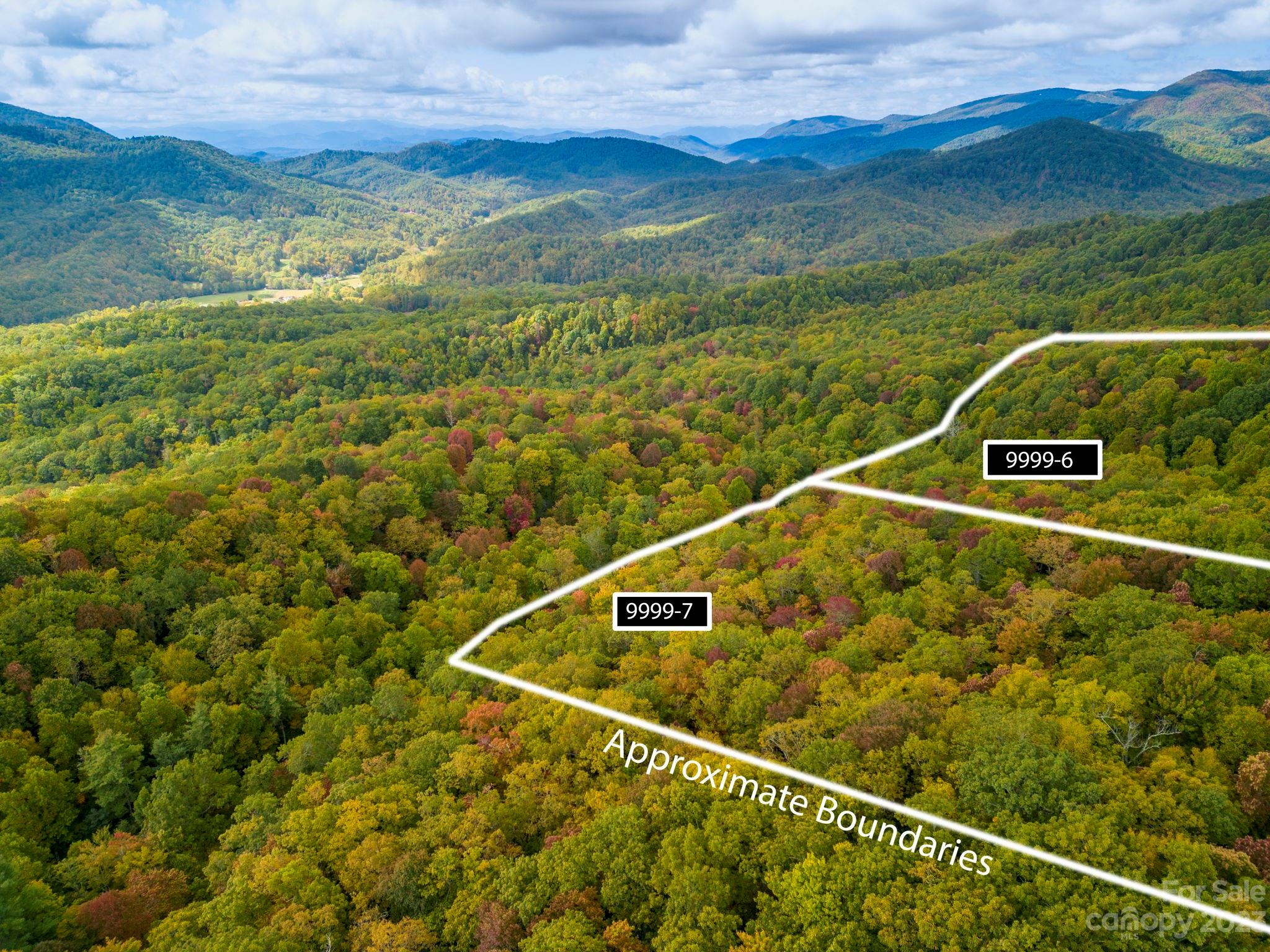9999-6 Rocky Knob Road Fairview, NC 28730 - Photo 8 of 11 Gallery Image 8