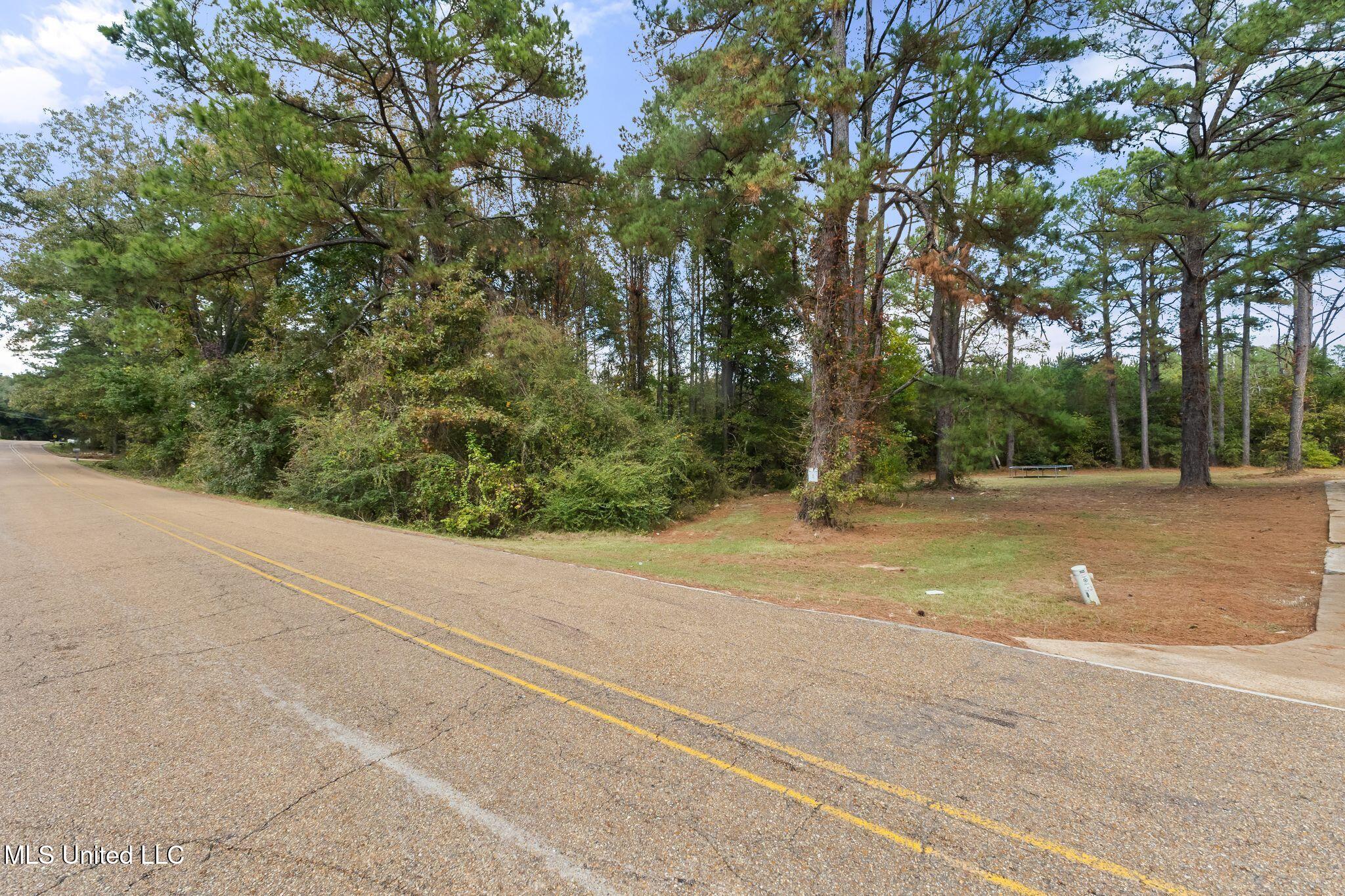 0 Forest Hill Road Jackson, MS 39272 - Photo 2 of 10 5016_Forest_Hill_Rd-2