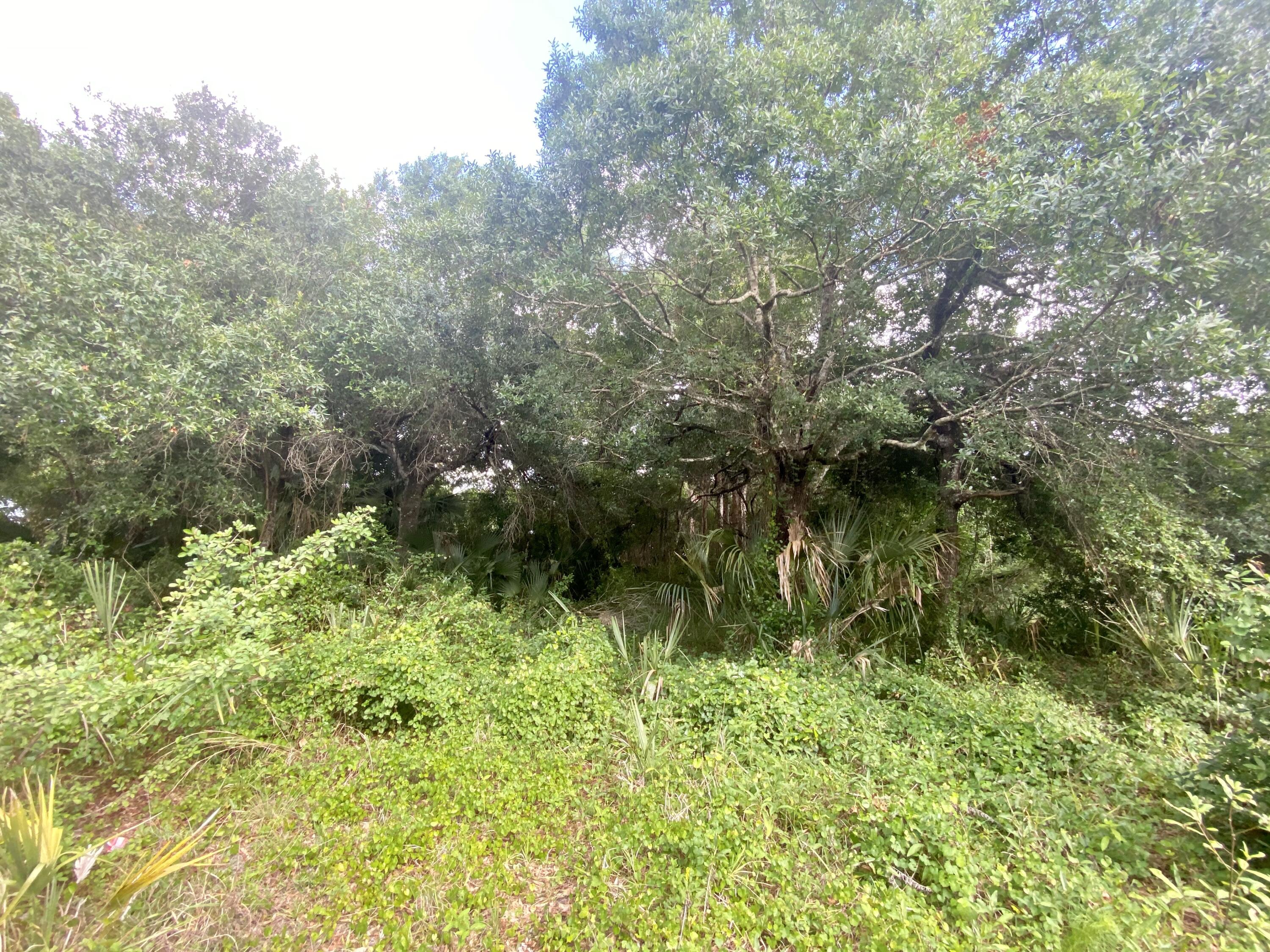 2211 South Rock Road Fort Pierce, FL 34945 - Photo 6 of 9 459E06AD-F31F-400C-A9D4-022D4E109C25