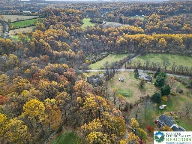 a view of a road with big trees