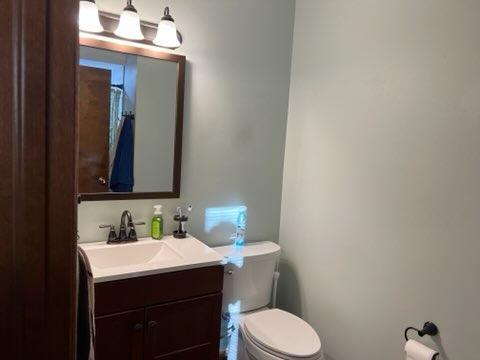 2433 Flat Rock Road Dyer, IN 46311 - Photo 7 of 17 a bathroom with a sink vanity mirror and toilet
