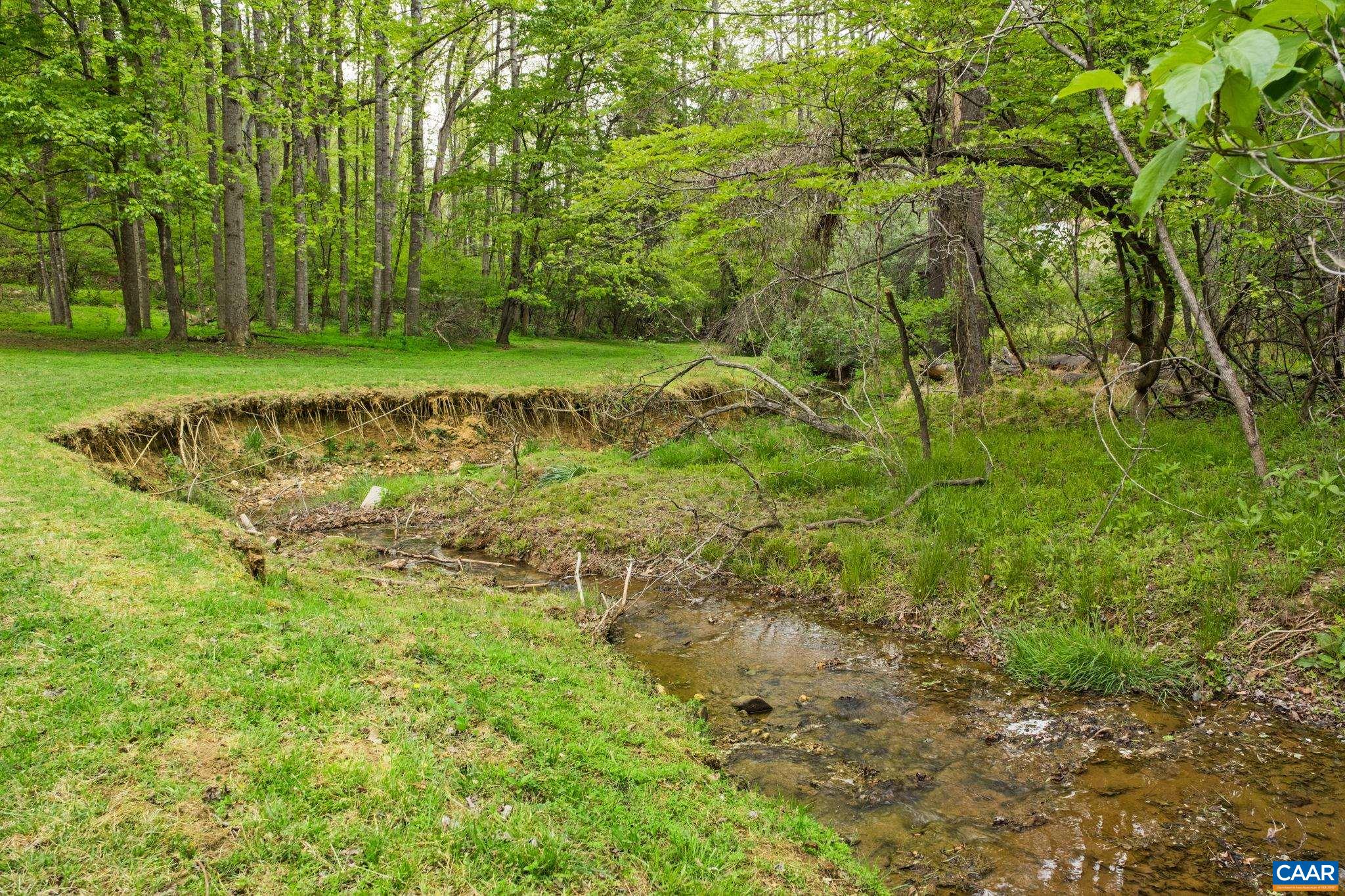 1680 Craigs Store Road Afton, VA 22920 - Photo 4 of 57 a view of a park with large trees