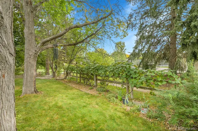 a backyard of a house with large trees