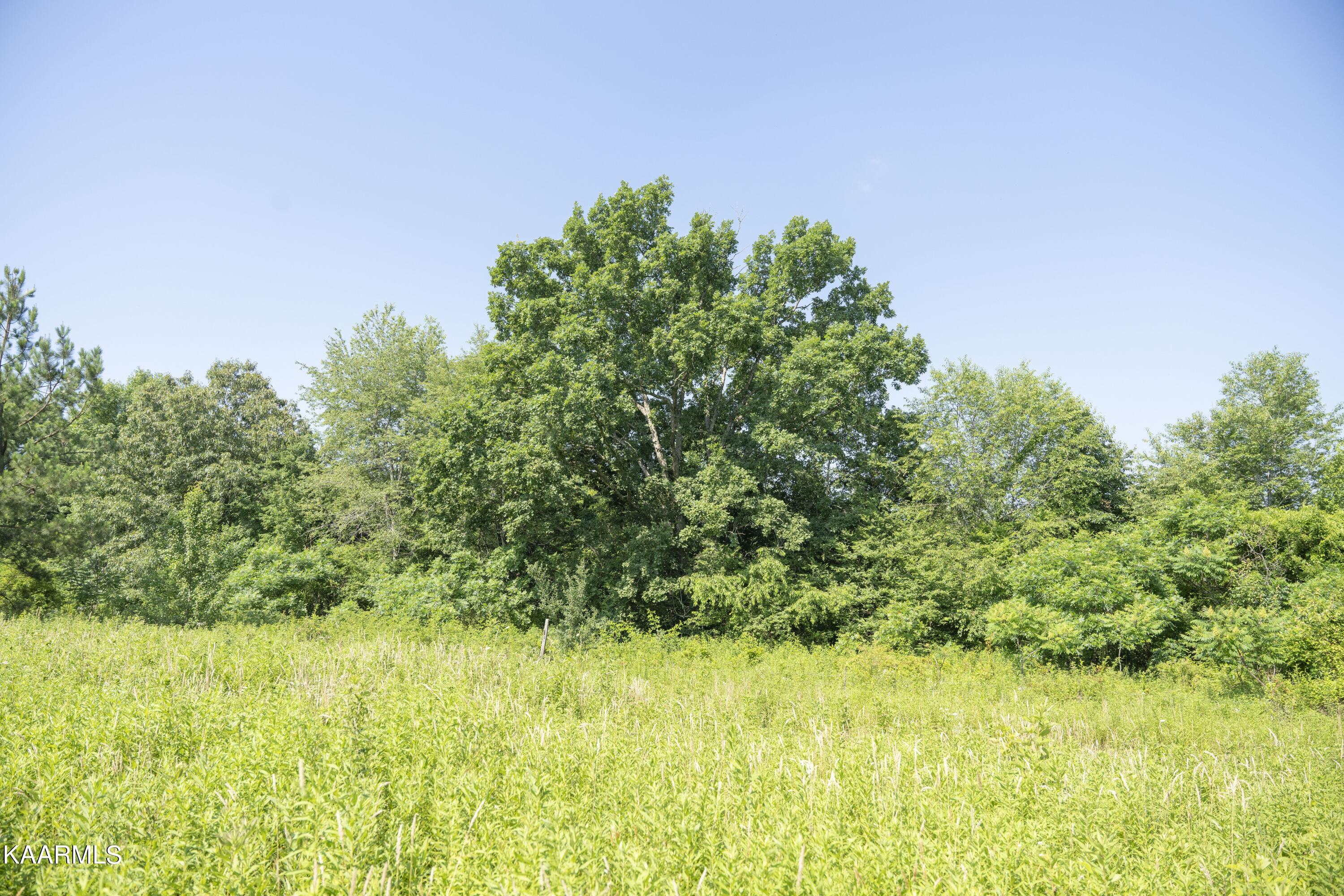 103 Flat Rock Road Deer Lodge, TN 37726 - Photo 1 of 9 RIV09753e1 (1)-min
