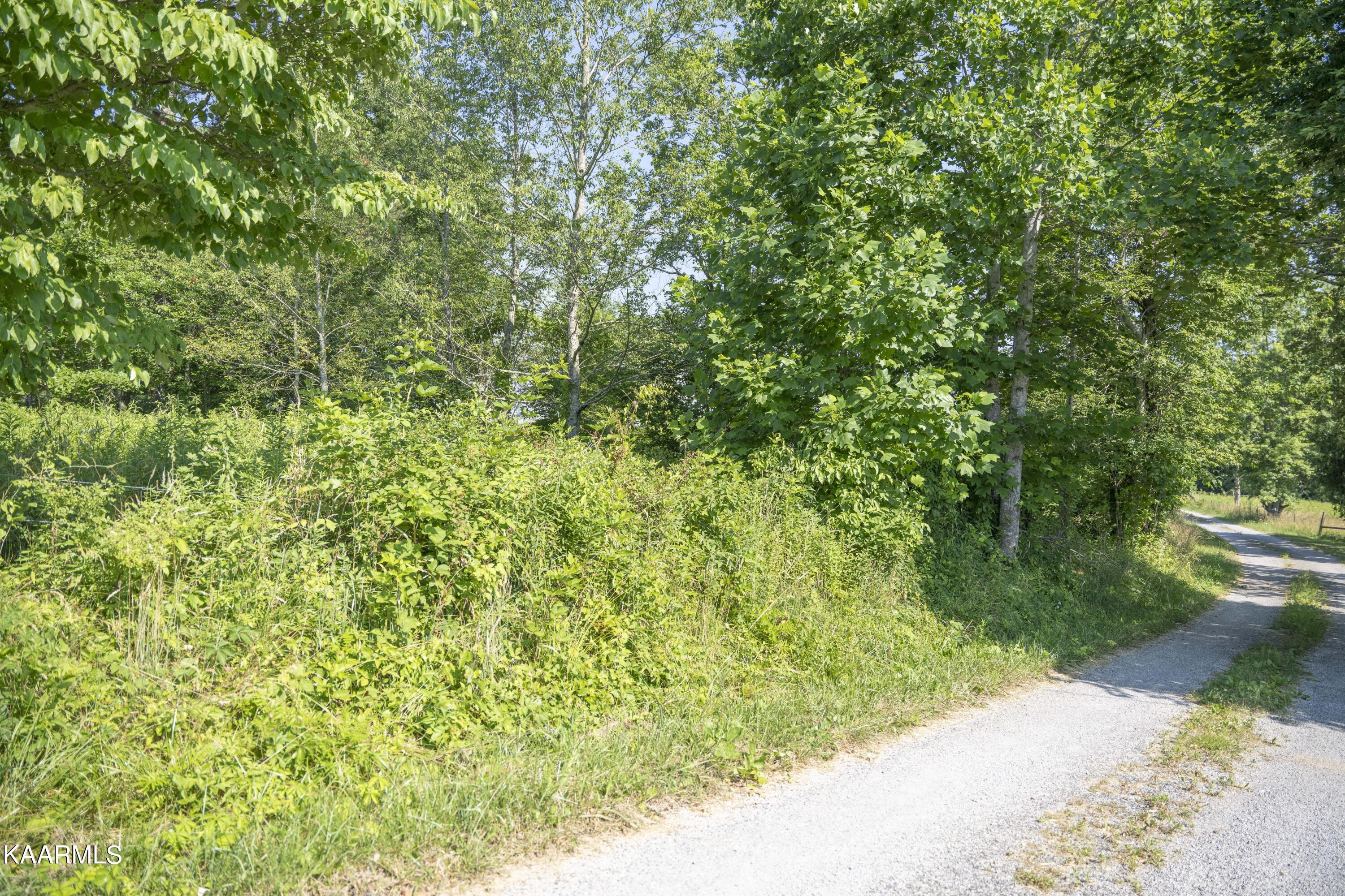 103 Flat Rock Road Deer Lodge, TN 37726 - Photo 3 of 9 RIV09742e1-min