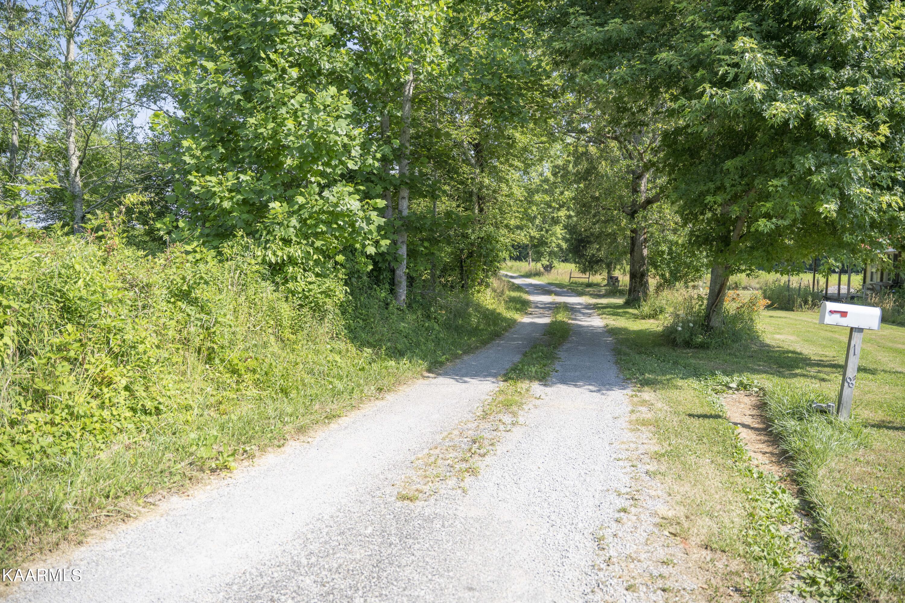 103 Flat Rock Road Deer Lodge, TN 37726 - Photo 4 of 9 RIV09743e1 (1)-min