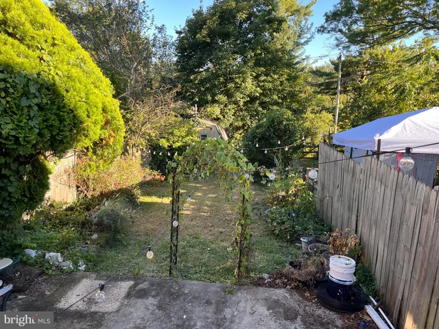 a view of a backyard with plants and trees