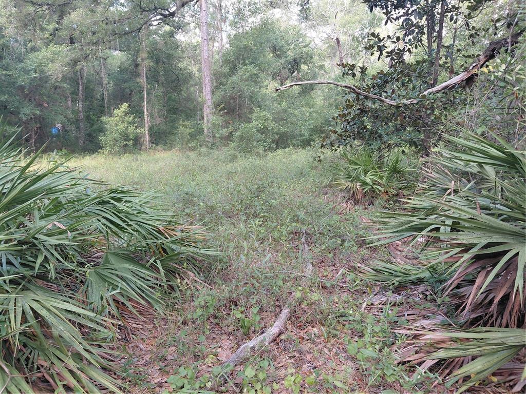Pinon Drive Webster, FL 33597 - Photo 18 of 19