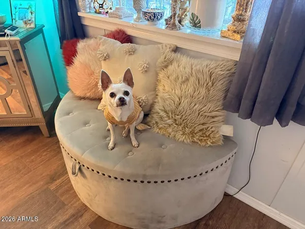 a view of a wooden floor