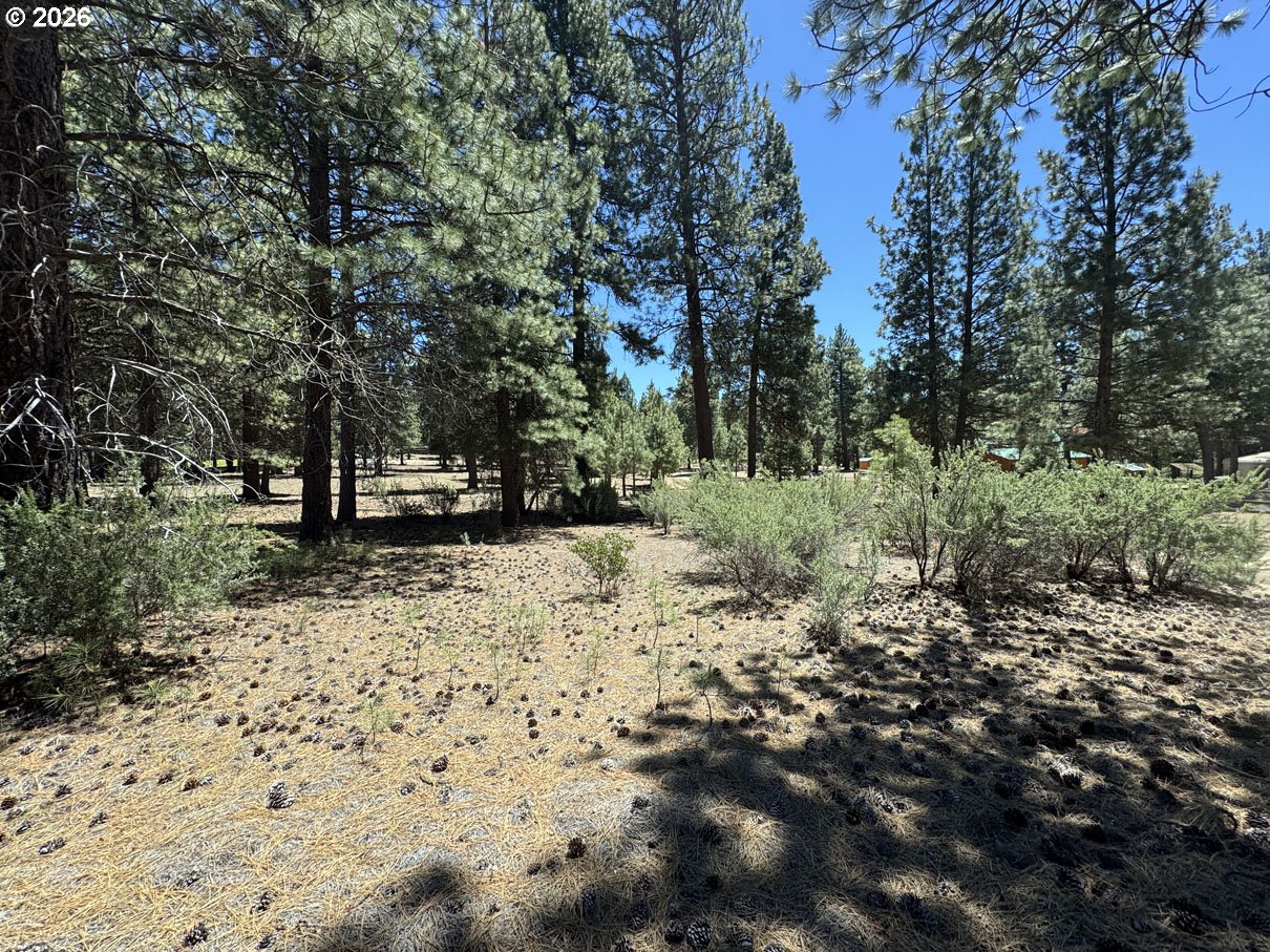 Friendship Drive, Unit 15 Chiloquin, OR 97624 - Photo 15 of 41