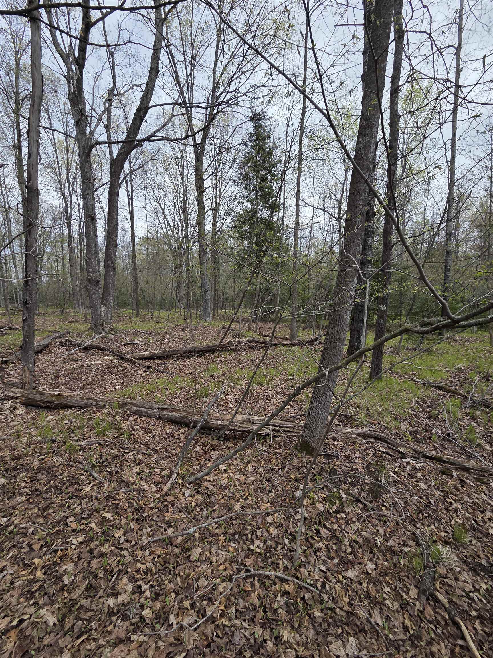 Chapin Road Wausaukee, WI 54177 - Photo 1 of 1