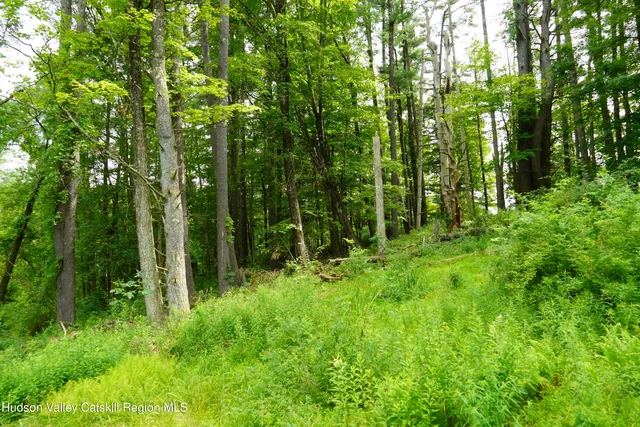 $79,900 | 1634 Highway 213, Esopus, NY 12487