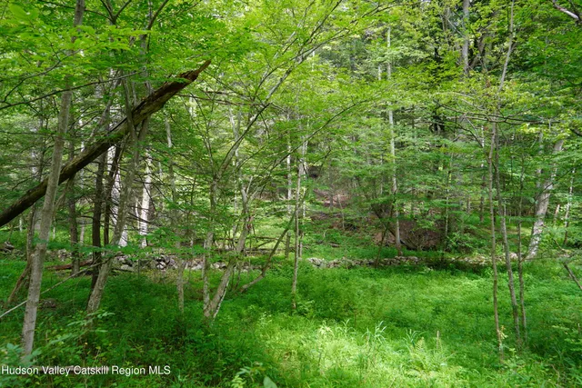 $79,900 | 1634 Highway 213, Esopus, NY 12487