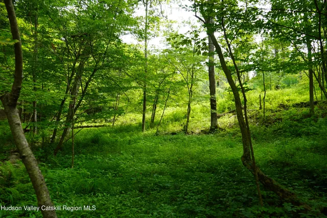 $79,900 | 1634 Highway 213, Esopus, NY 12487