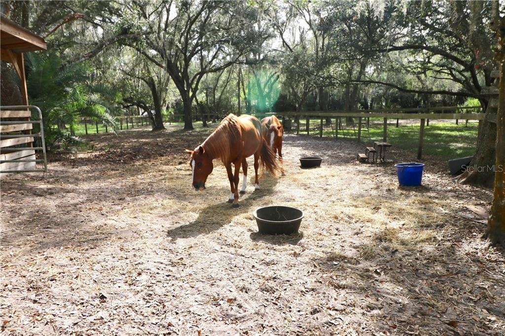 4873 Old Ranch Road Sarasota, FL 34241 - Photo 42 of 49 The guest house has two stalls, and has two fenced pastures.