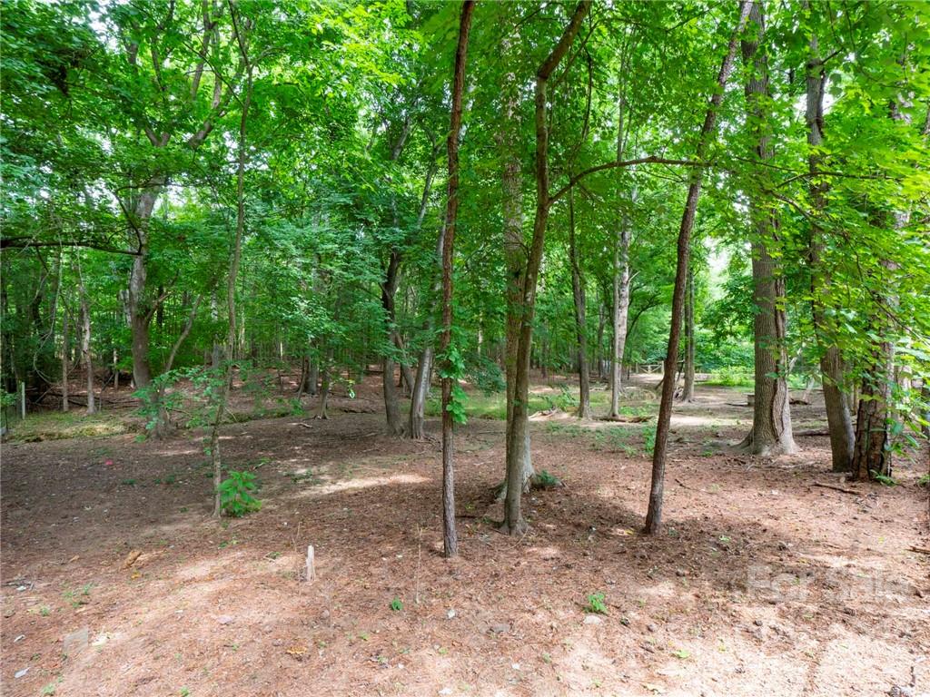 504 South Paraham Road York, SC 29745 - Photo 16 of 45 Gallery Image 16