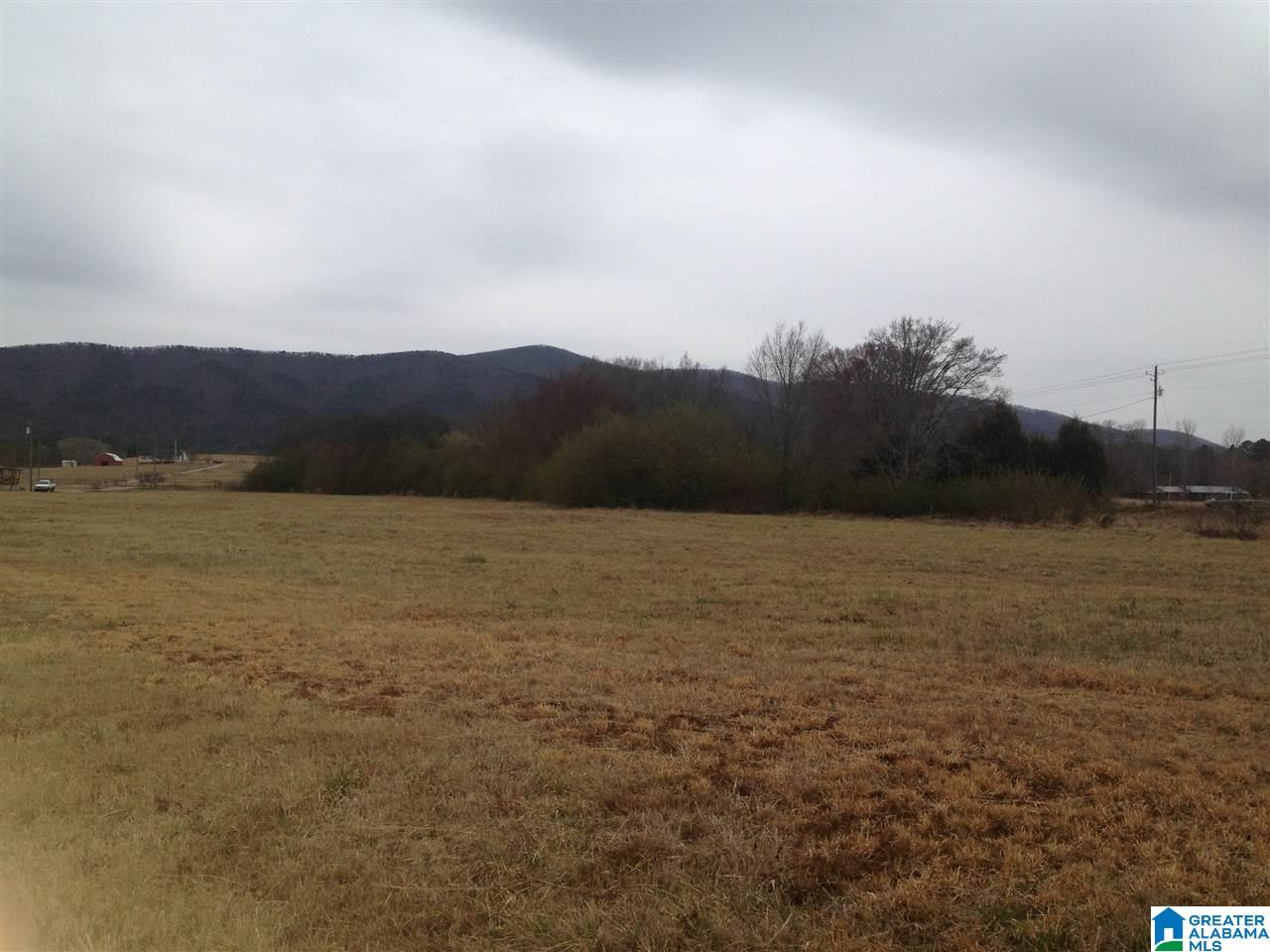 166 The Wagon Road Piedmont, AL 36272 - Photo 2 of 3