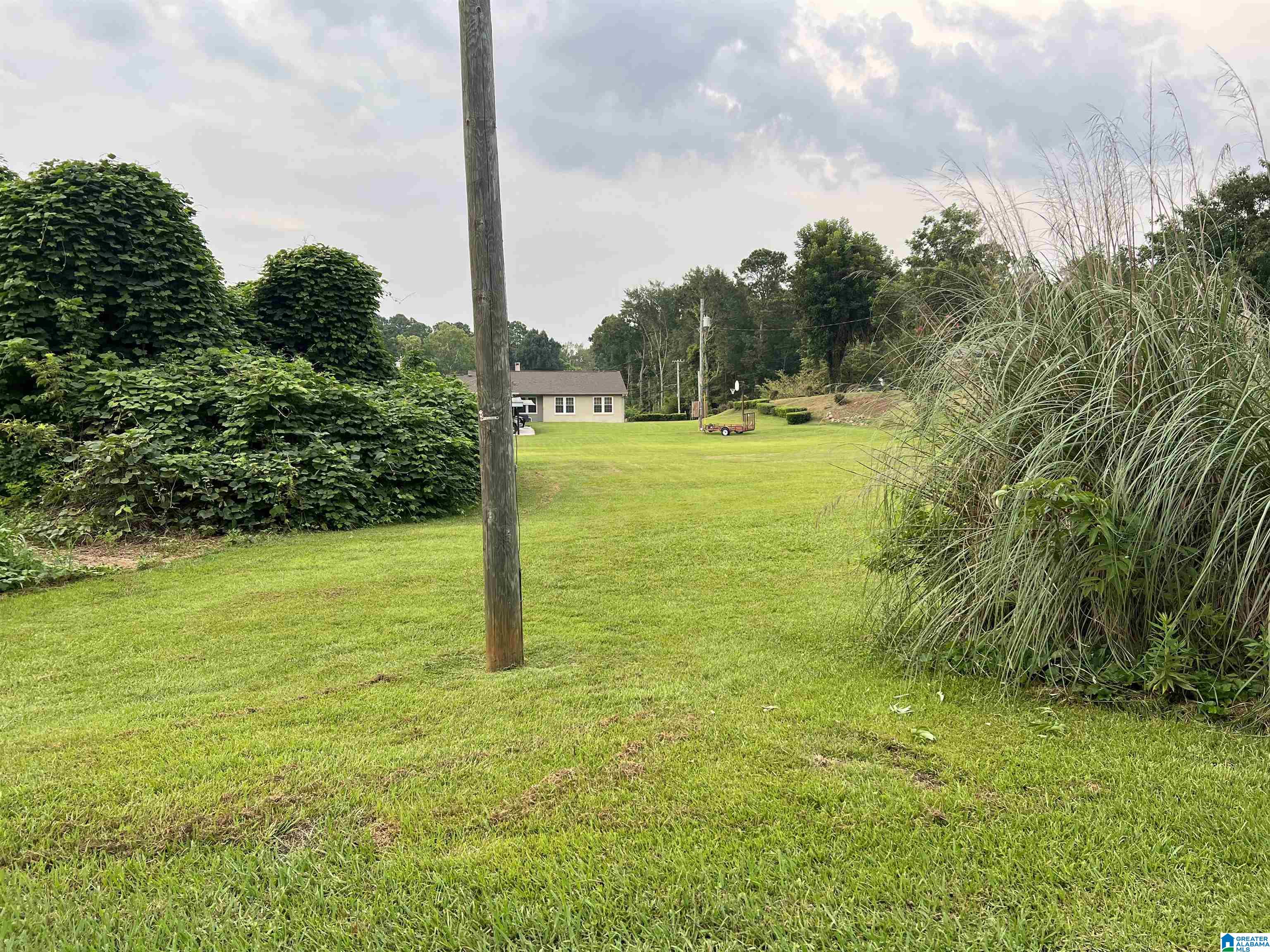 Lindsey Street Sylacauga, AL 35150 - Photo 3 of 5