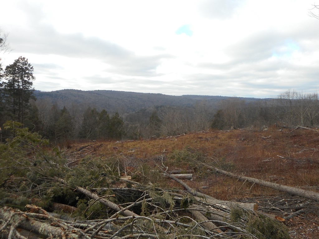 Lot C County Road Huntington, MA 01050 - Photo 4 of 8 Gallery Image 4
