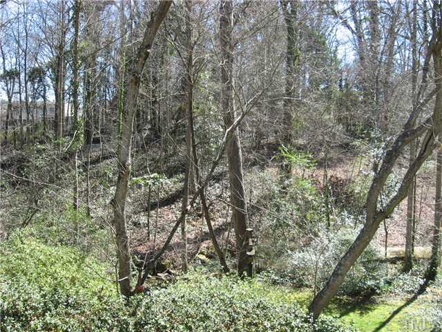 719 Runnymede Road Raleigh, NC 27607 - Photo 10 of 25 a view of forest