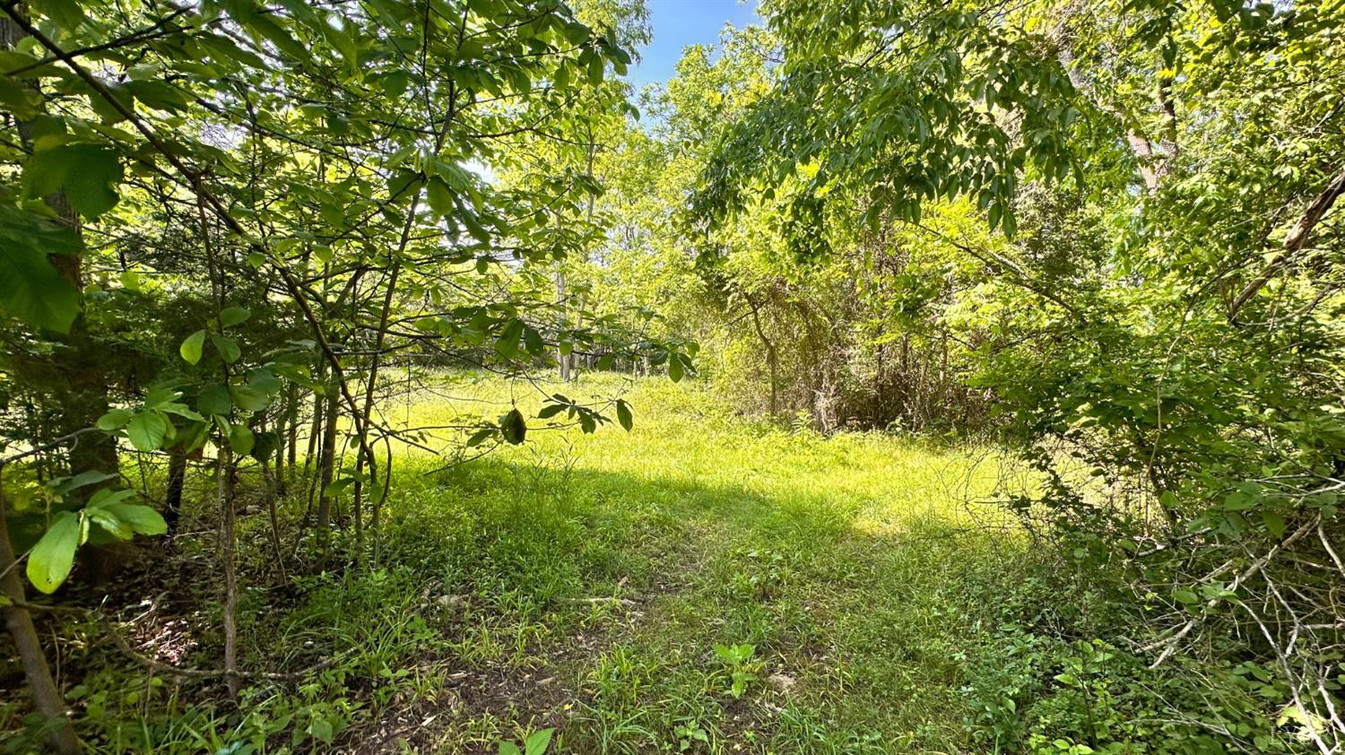 0 Goggin Ford Road Bedford, VA 24523 - Photo 10 of 25