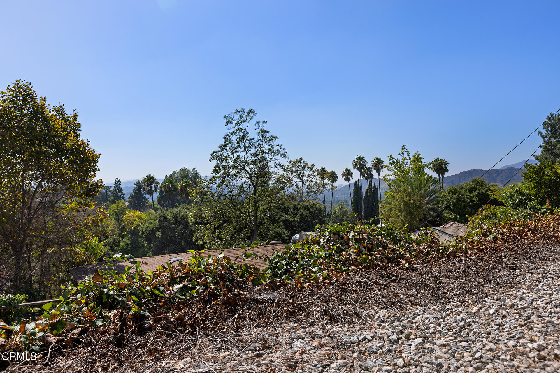306 Cherry Drive Pasadena, CA 91105 - Photo 19 of 23 a view of a garden with a building in the background