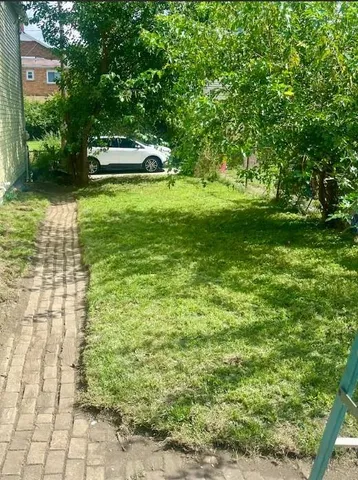 a view of a garden with large trees