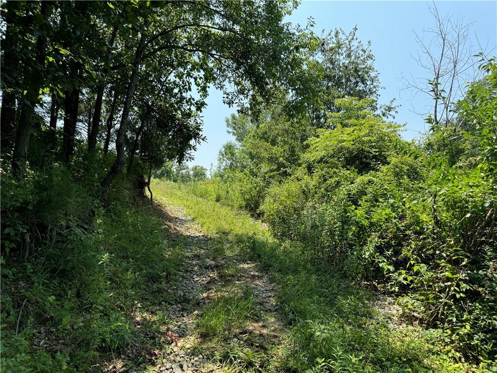 East 900th Avenue Wheeler, IL 62479 - Photo 1 of 1