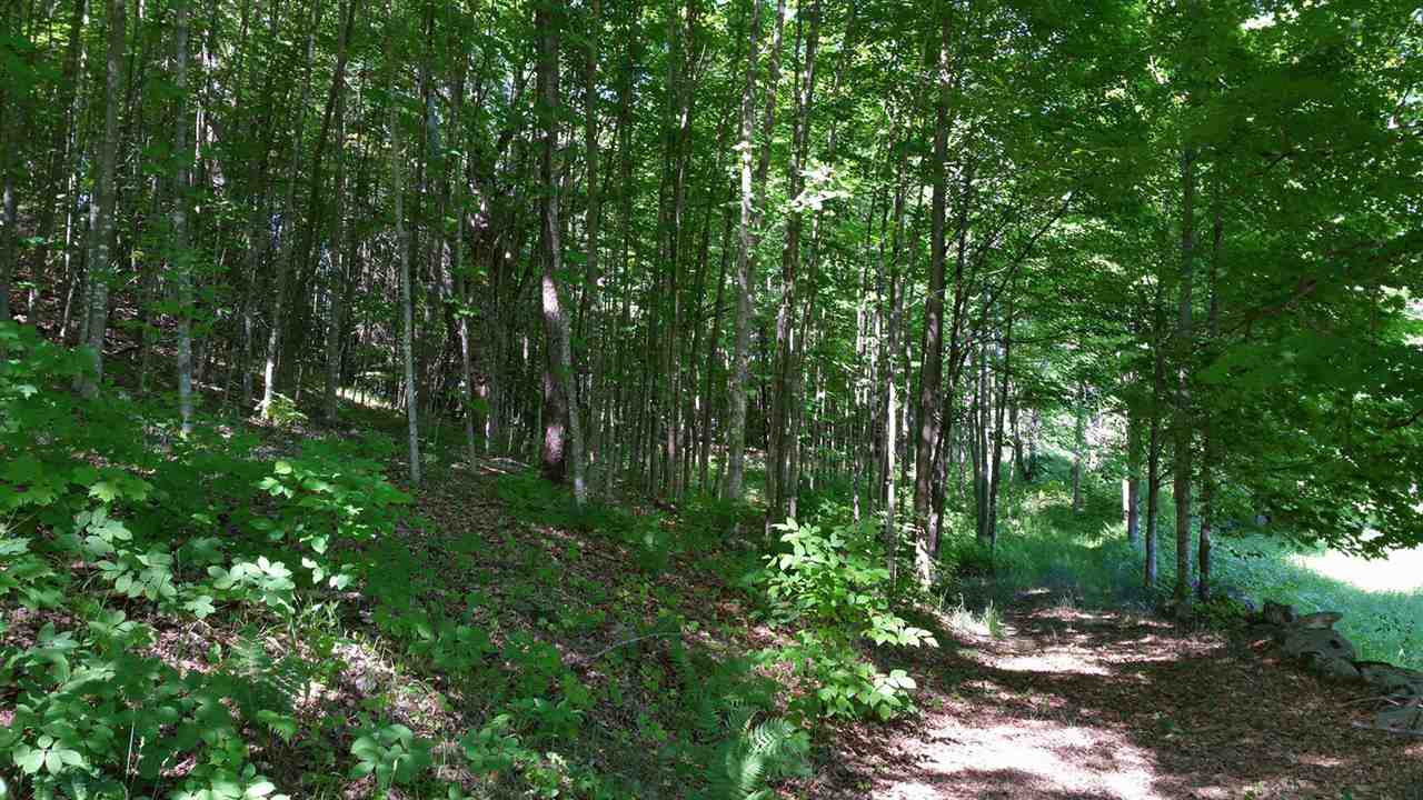 395 Stevens Road Cavendish, VT 05142 - Photo 3 of 21