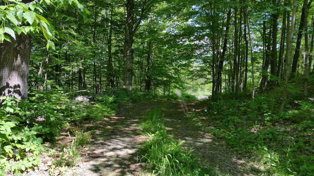 395 Stevens Road Cavendish, VT 05142 - Photo 4 of 21