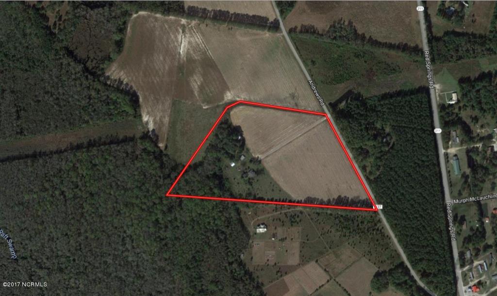 465 Andrews Road Red Springs, NC 28377 - Photo 50 of 50 Aerial Photo (1024x610)