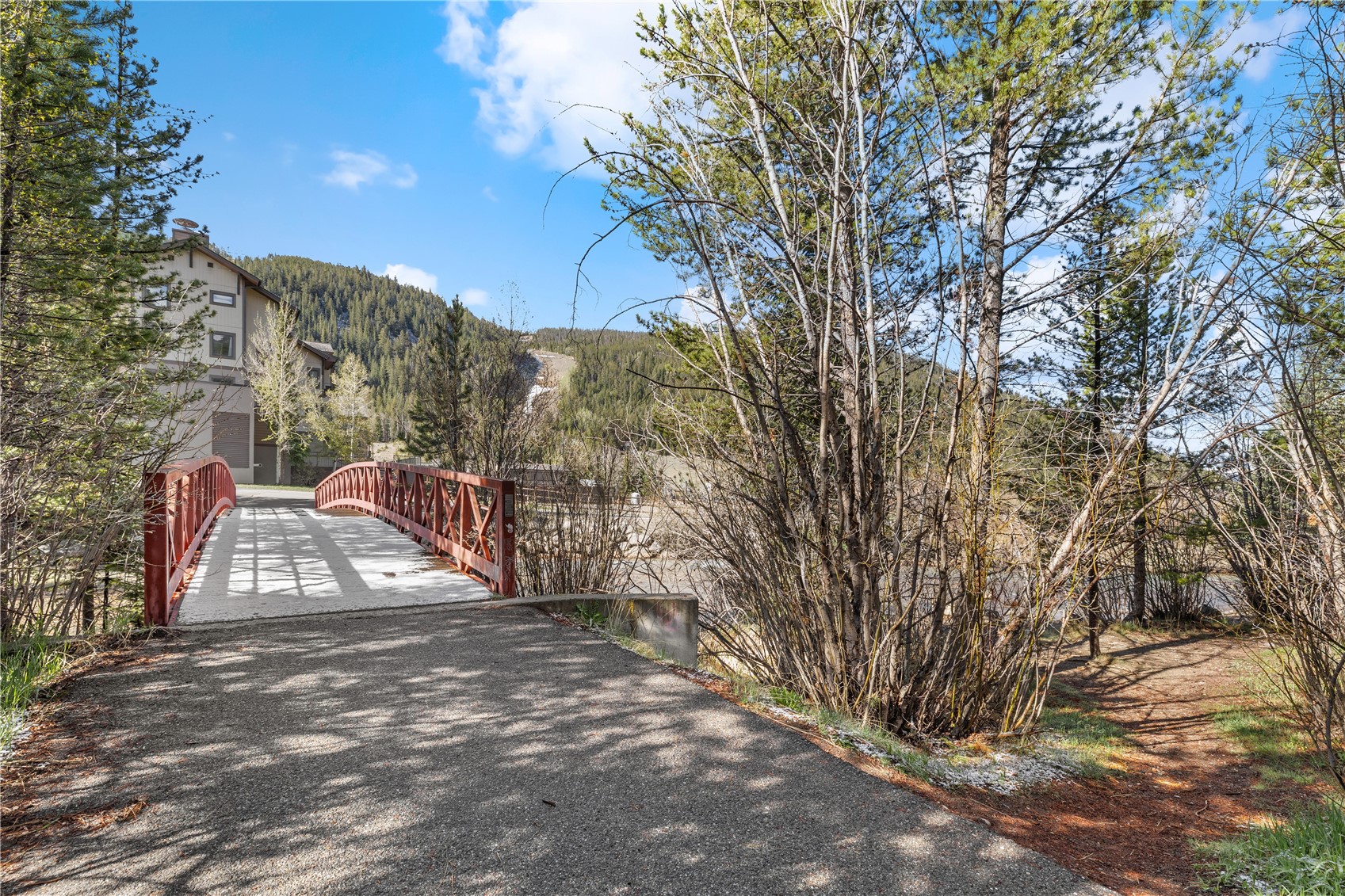 22804 Highway 6, Unit 102 Keystone, CO 80435 - Photo 28 of 34 a view of a yard with plants and trees