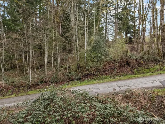 a view of a yard with a tree