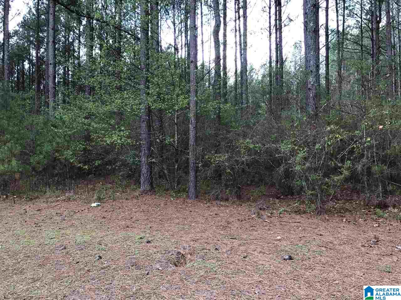 78 Pilgrims Path, Unit 19 Anniston, AL 36207 - Photo 17 of 35