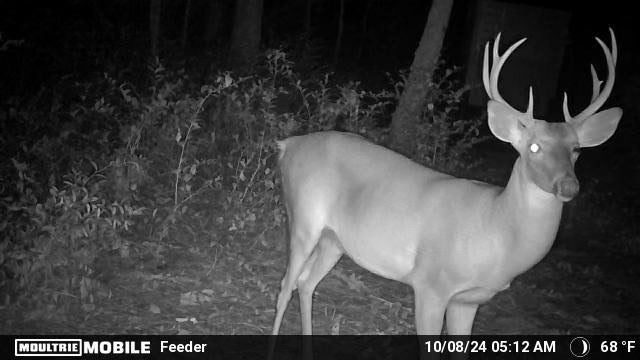 8290 Morven Road Hahira, GA 31632 - Photo 4 of 49 Gallery Image 4