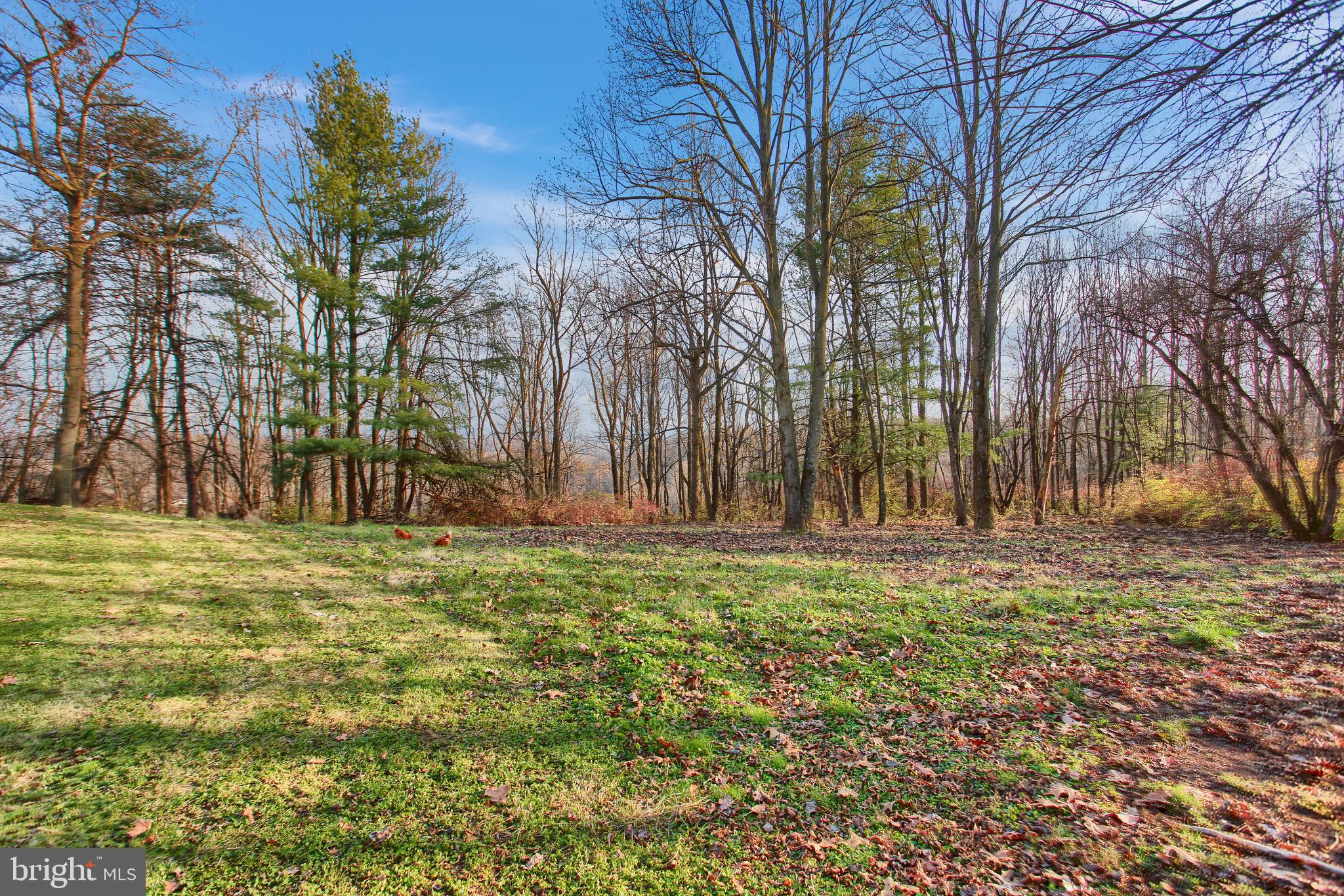 636 White Oak Tree Road Gardners, PA 17324 - Photo 41 of 43 Gallery Image 41