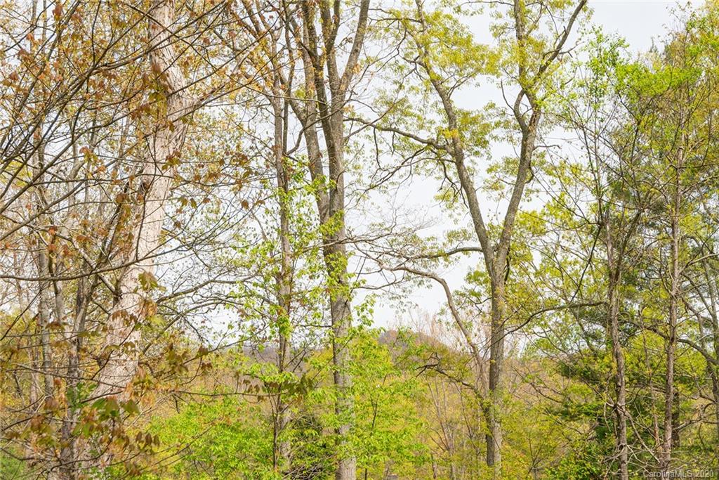205 Riva Ridge Drive Fairview, NC 28730 - Photo 43 of 44 Gallery Image 43