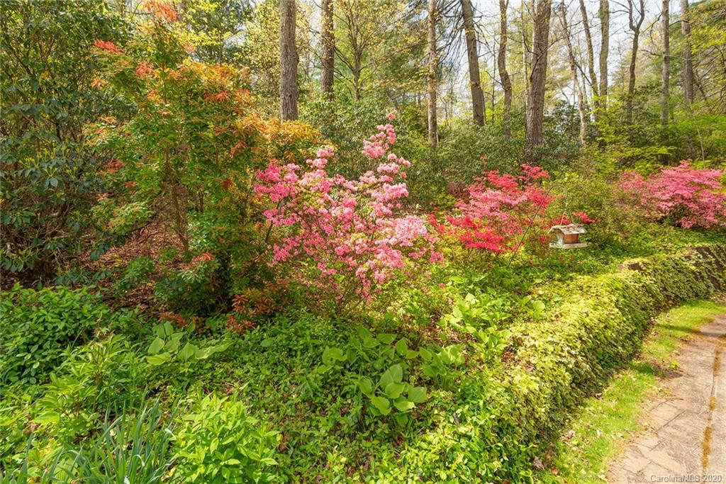 205 Riva Ridge Drive Fairview, NC 28730 - Photo 44 of 44 Gallery Image 44