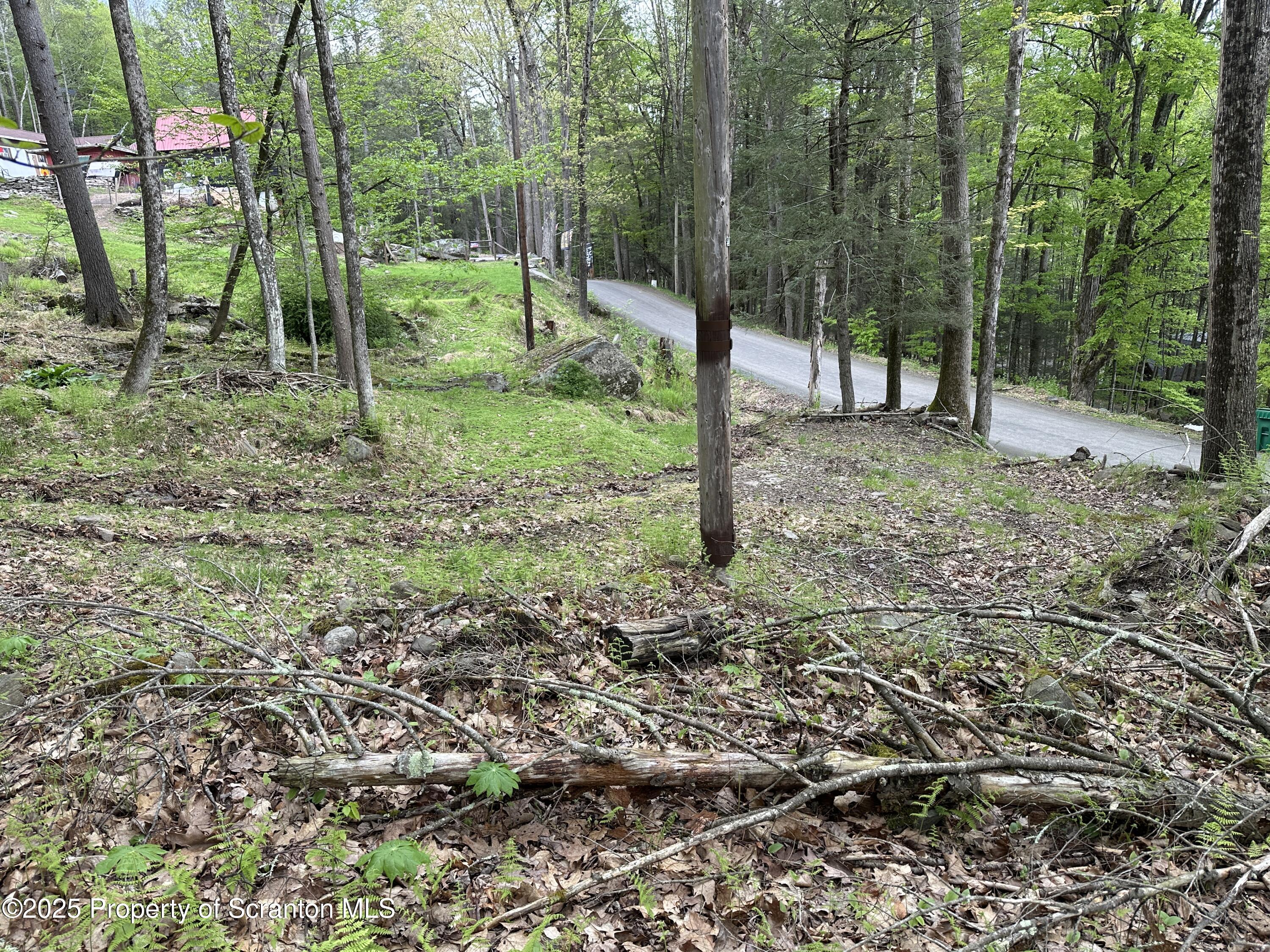2 River Road Damascus, PA 18415 - Photo 5 of 15 a view of a park