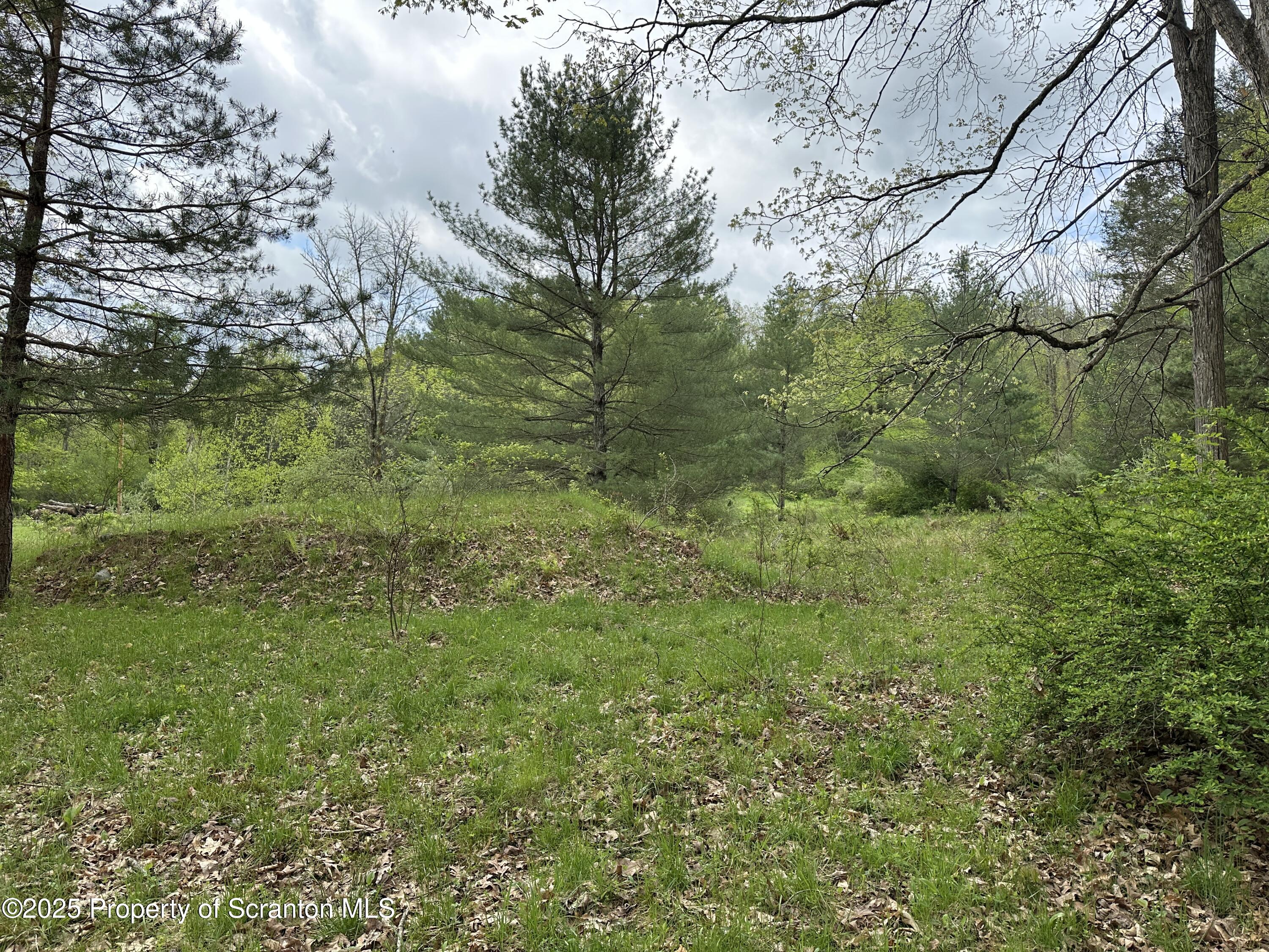 2 River Road Damascus, PA 18415 - Photo 8 of 15 a view of a lush green space