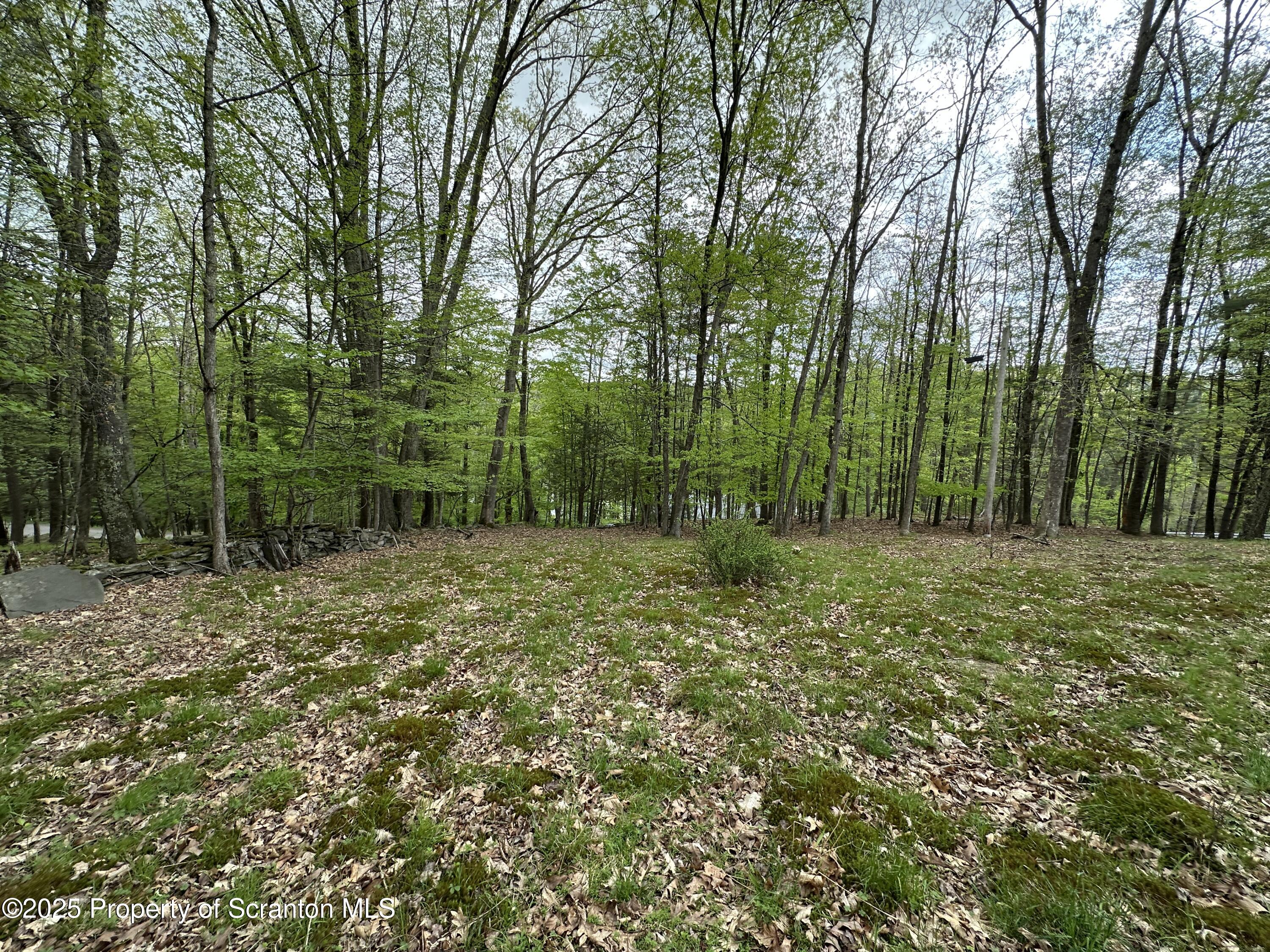 2 River Road Damascus, PA 18415 - Photo 10 of 15 a view of outdoor space with trees all around