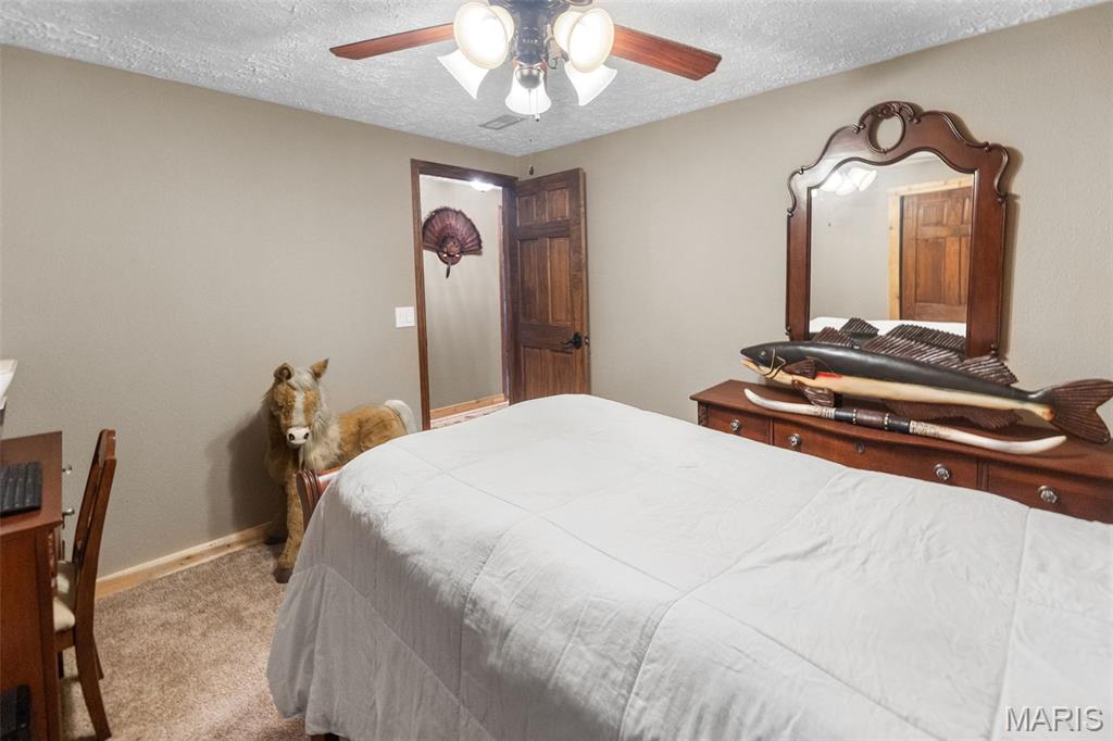 4837 Rocky Branch Road Bethalto, IL 62010 - Photo 27 of 78