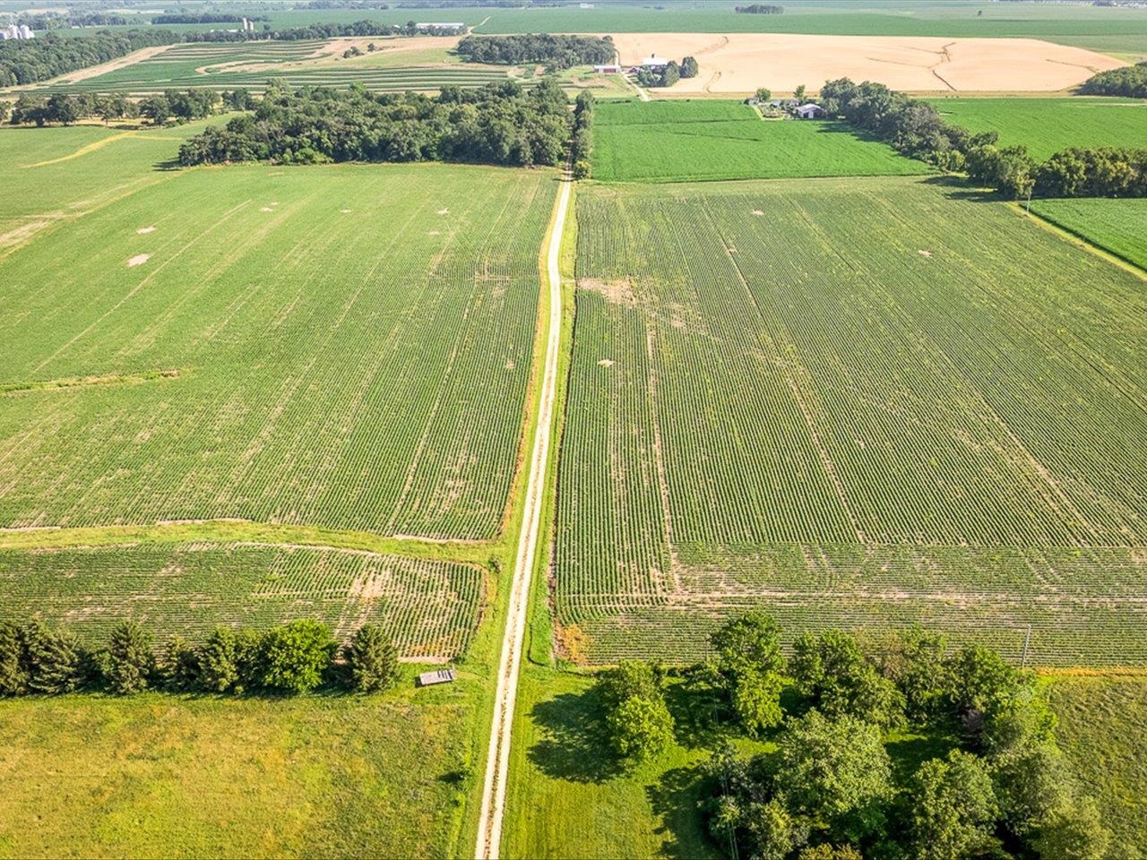 4206 West West Grove Road Leaf River, IL 61047 - Photo 64 of 67
